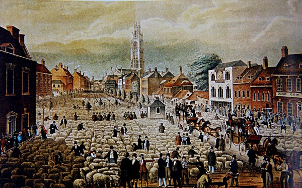 088-Майская ярмарка овец в Бостоне, 1830 год